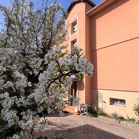 T3 + Veranda A Straatsburg Buitenkant foto